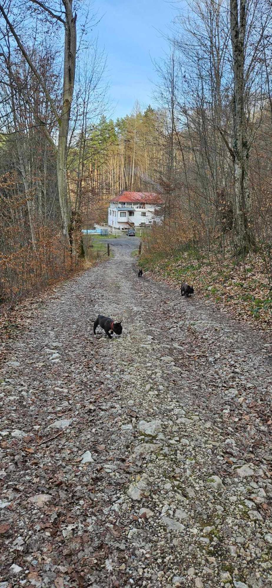 Cabana Cerbu Bozovici Exterior foto